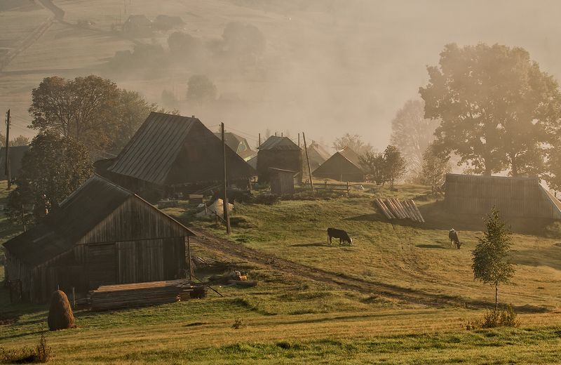 карпаты,	утро, хутор, сенечив утро на хуторе... фото превью