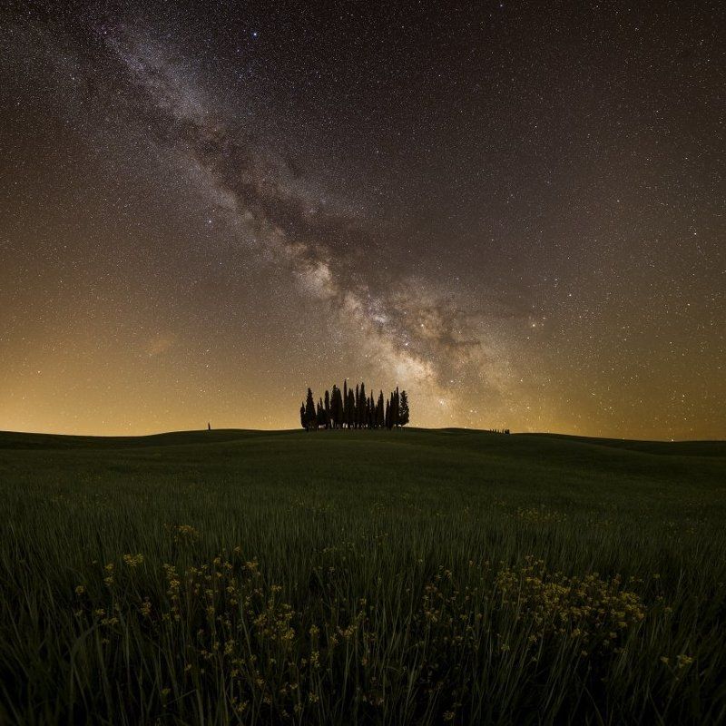 tuscany, toscana, milkyway, stars, galaxy, Cypress grove фото превью