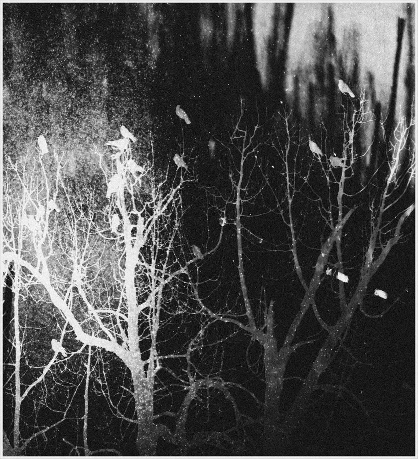 , Krzysztof Trojanowski