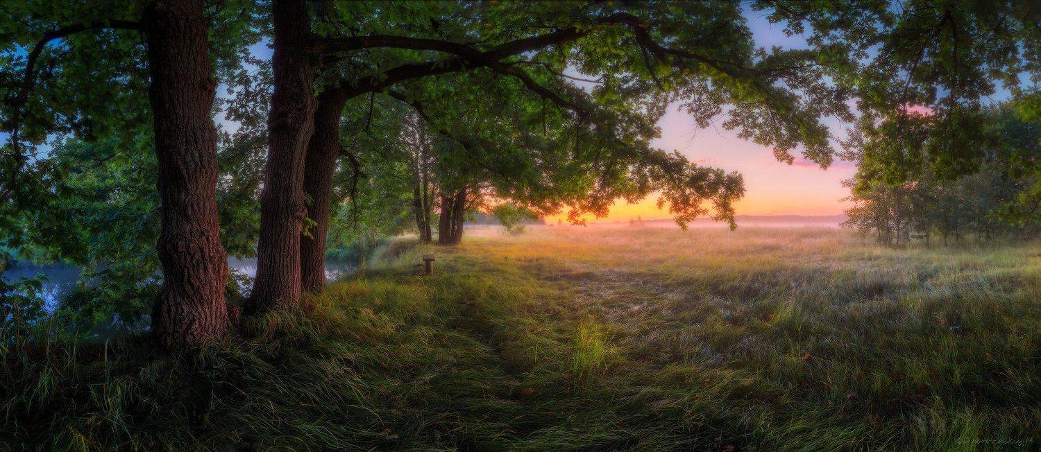 , Михаил Дубровинский