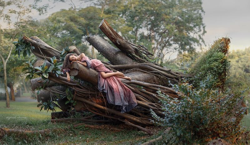 girl tree dzhulirina irinadzhul portreit people *** фото превью