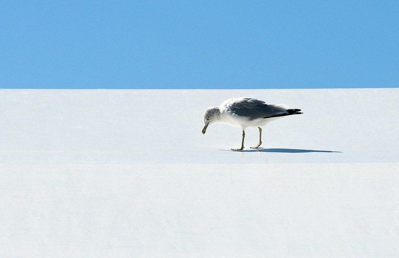 Untitled фото превью