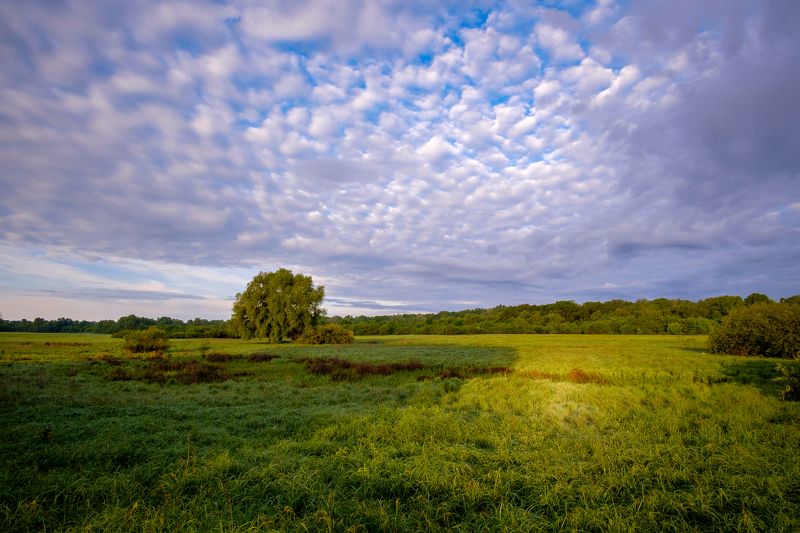 пейзаж, река, утро, природа, рассвет, nature, landscape, sunrise, sky, clouds Ранним утром на лугу... фото превью