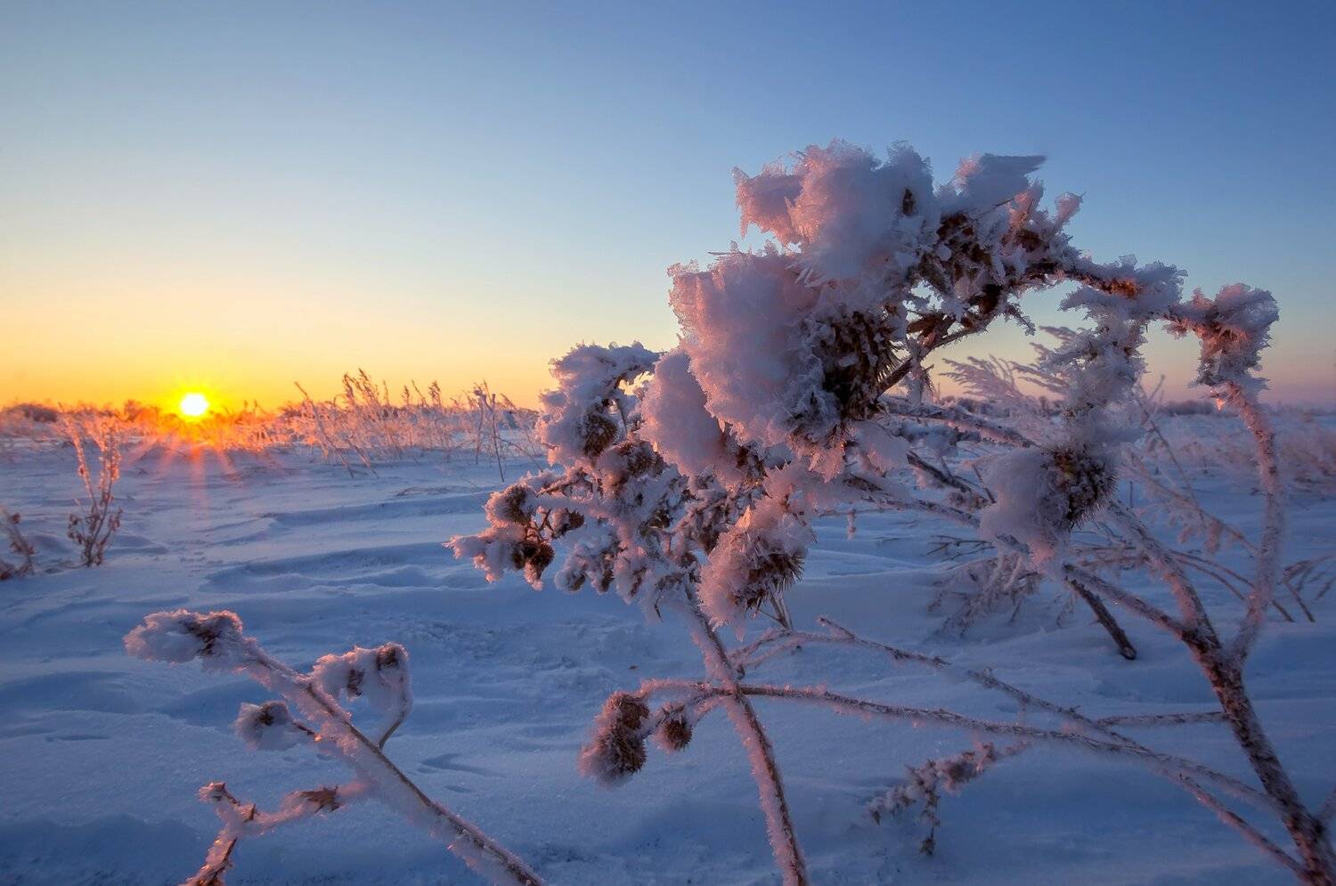 , Павел Сагайдак
