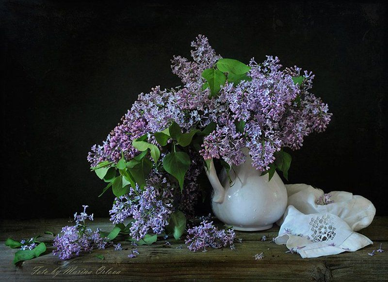 лето июнь сирень цветы Отцветает... фото превью