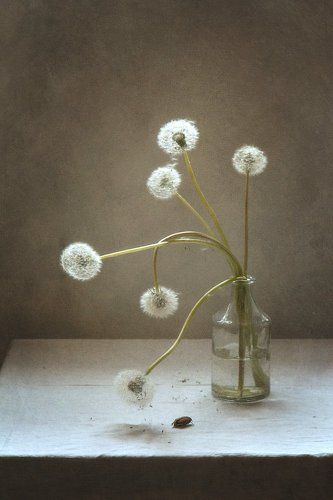 дорога домой