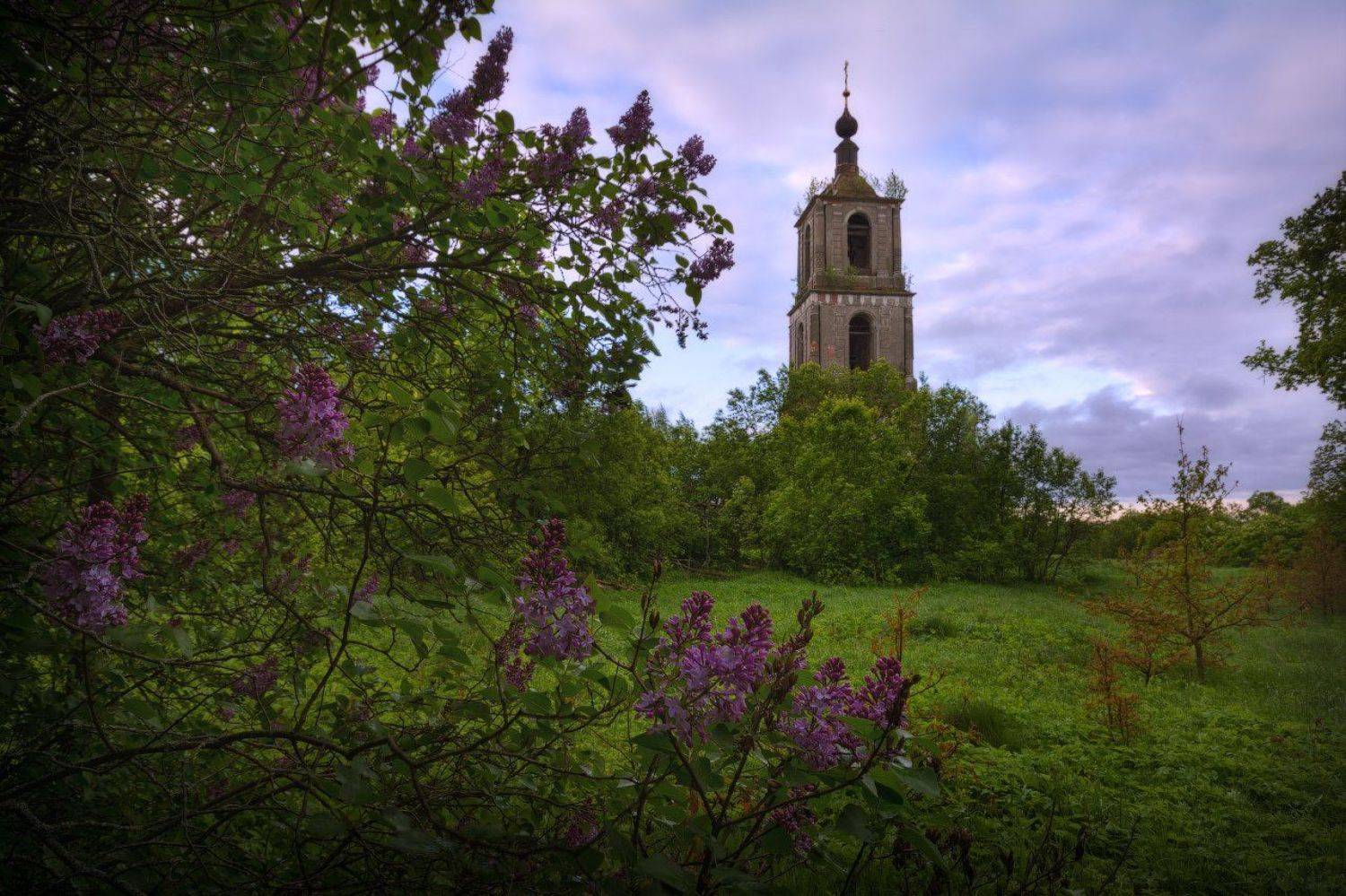 , Жмак Евгений