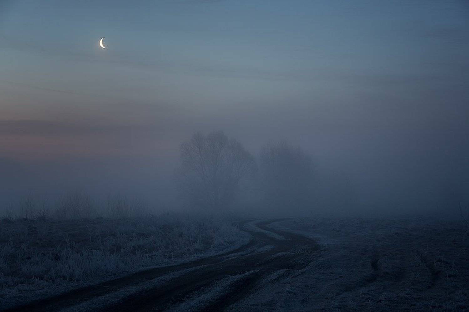 , Юрий Сорокин