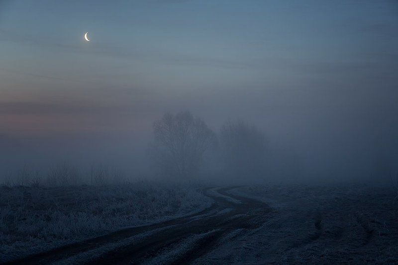Сумерки. фото превью