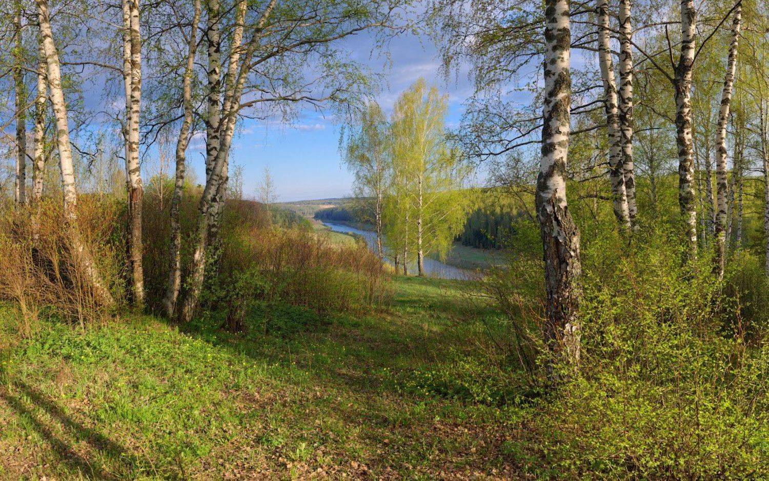, Дмитрий Медянцев