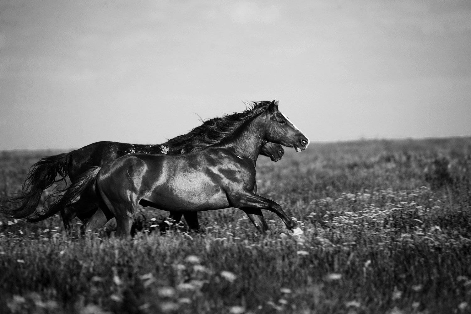 , Сергей Кобылько