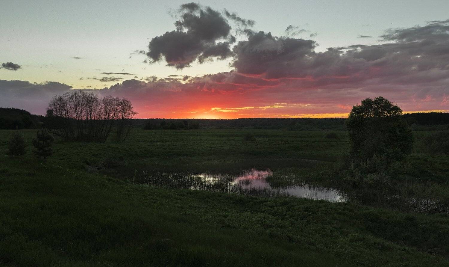 Тверь, Тверская область, Закат, поле, Торопов Роман