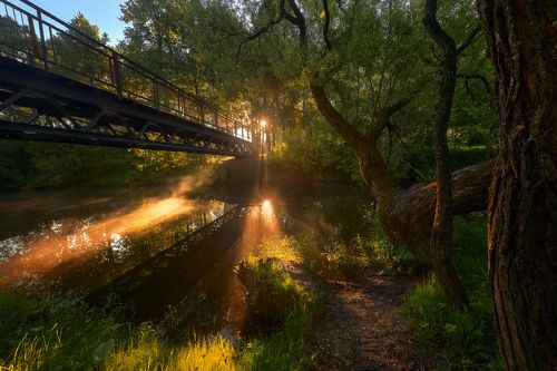 / Утро в парке.../