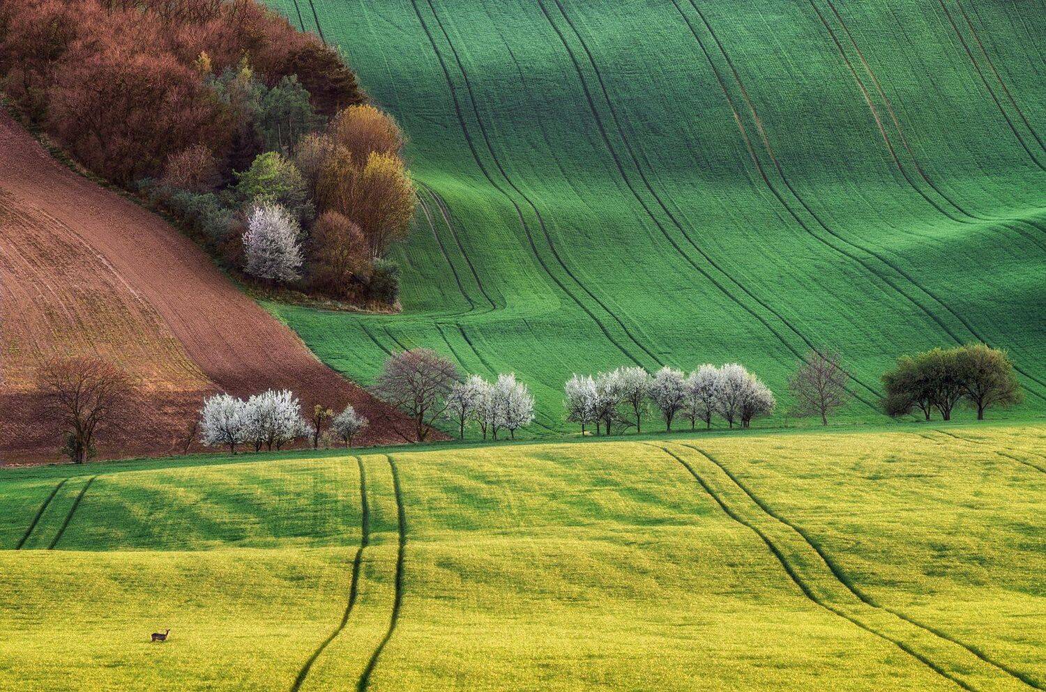 , Сергей Давыдов