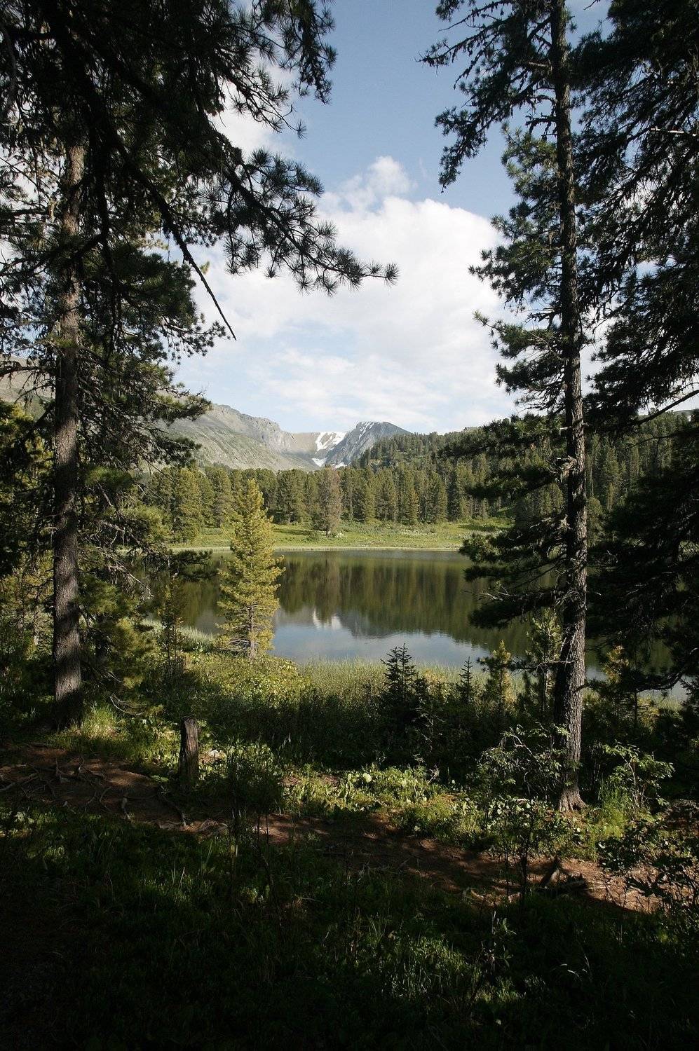 , Михаил Дронов