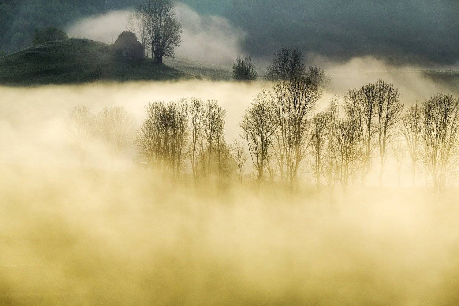 mist,fog,morning,nature,apuseni,Romania, Marius Turc