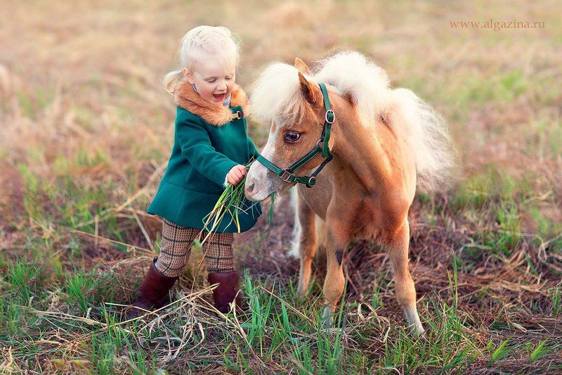 дети ребенок малыш детская фотография девочка пони Танюшка и Лелик фото превью