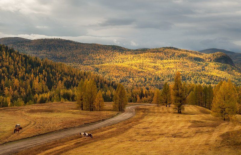 Из осеннего. фото превью