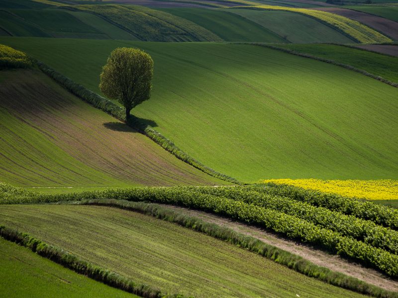 Roztocze, Poland фото превью