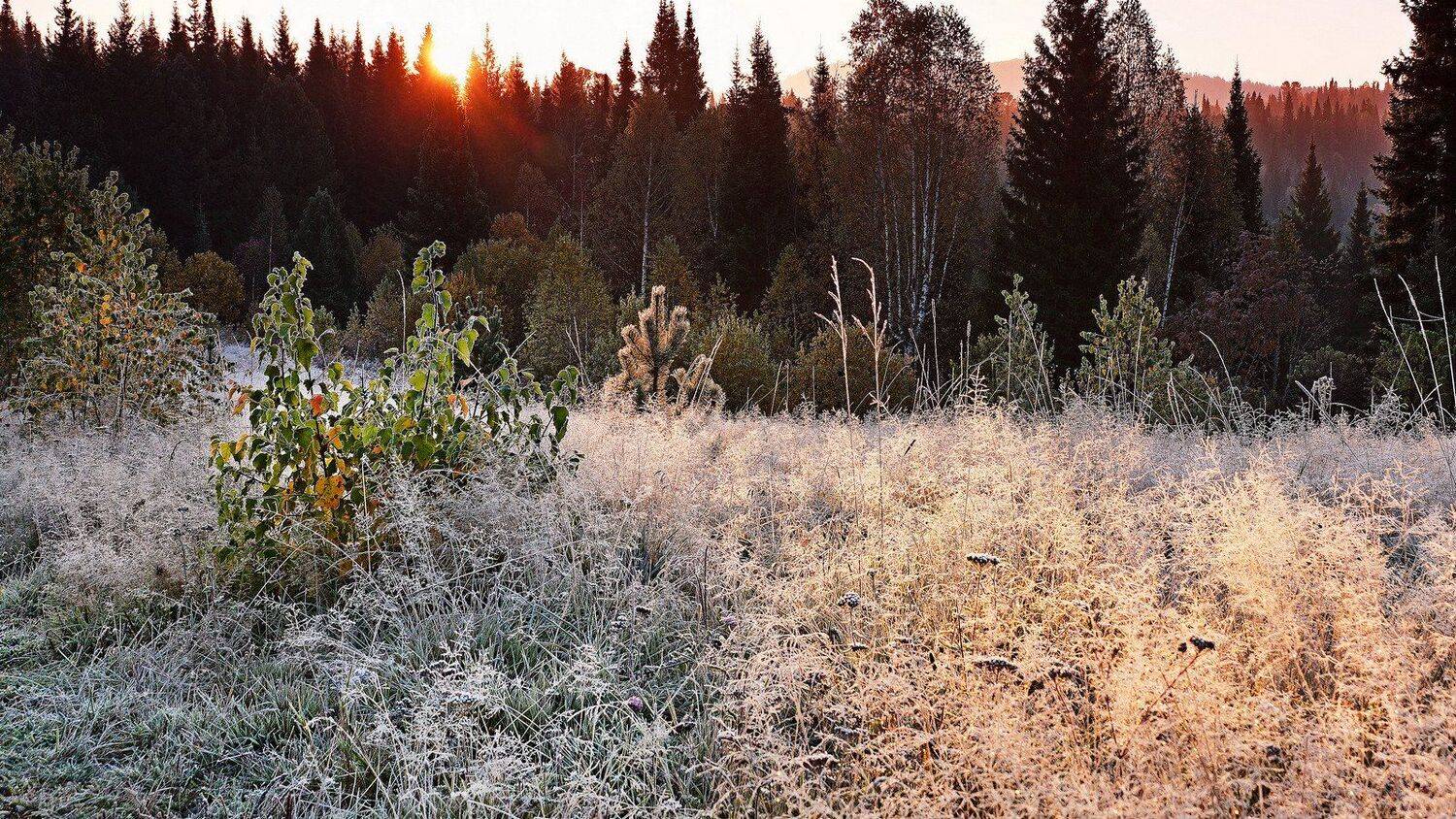 пейзаж, восход, осень, Александр Потапов