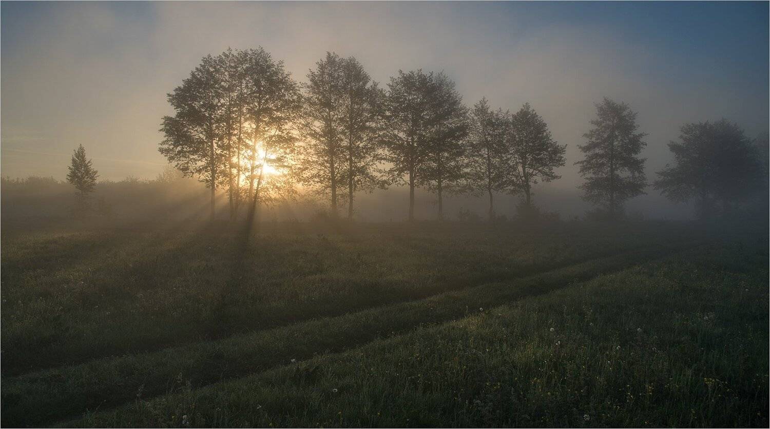 , Николай Шахманцир