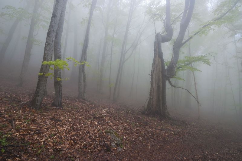 И всё повторится сначала..... фото превью