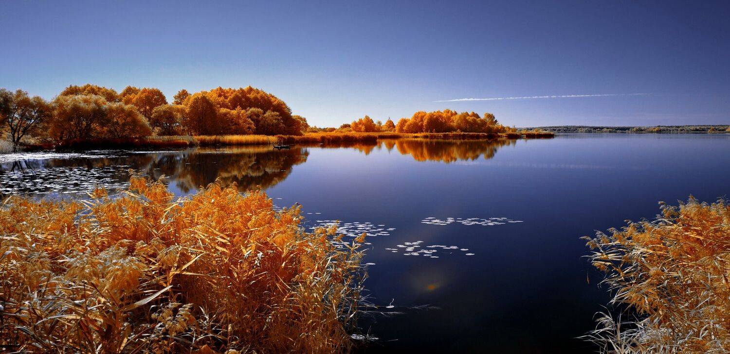 infrared,ик-фото,инфракрасное фото,инфракрасная фотография,пейзаж,природа,беларусь,осень, Sixten ( Сергей )