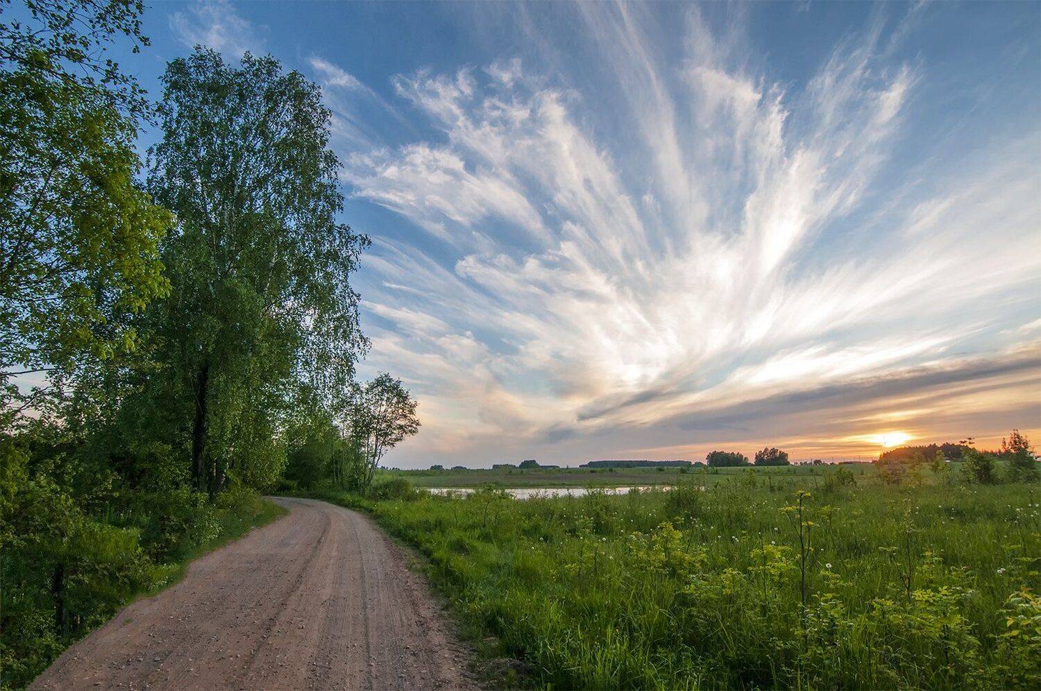 road,sunset,birches, Daiva Cirtautė