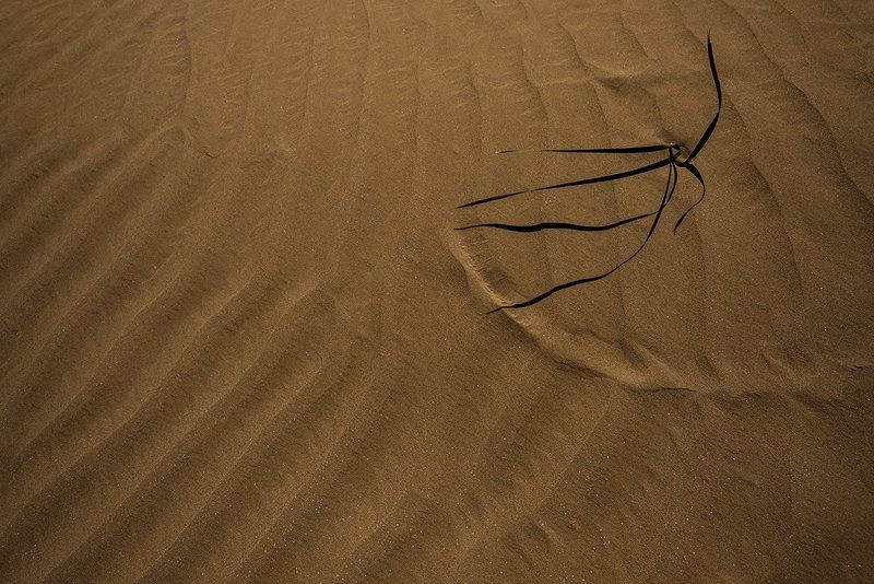 Астраханские пески фото превью