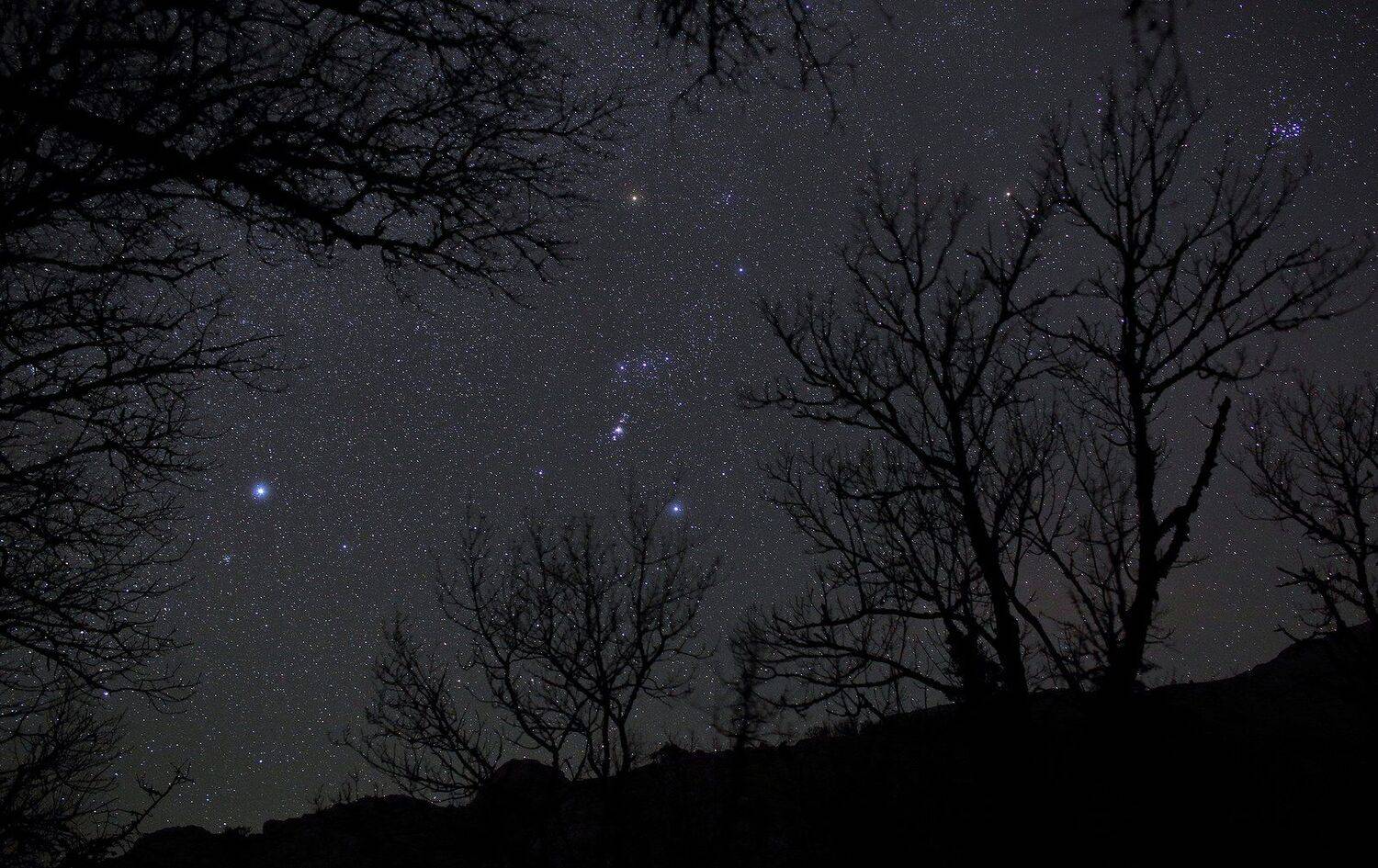 орион, Михаил Рева