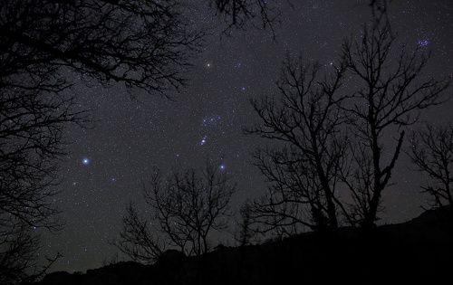 Gems of winter nightsky