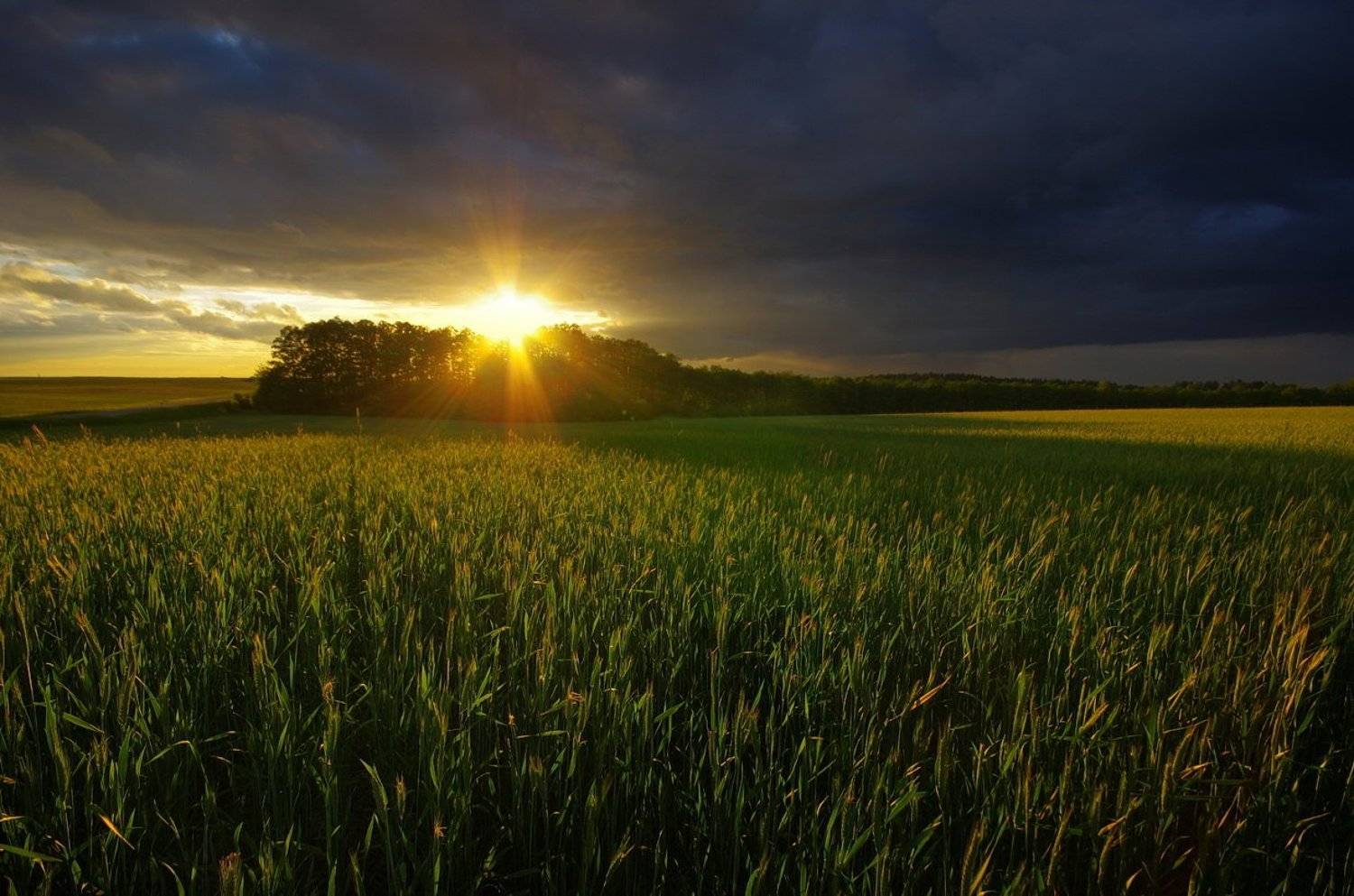 , Сергей Шляга