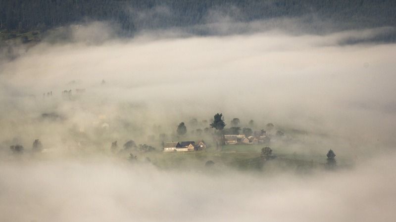 туман, утро, карпаты Островок... фото превью