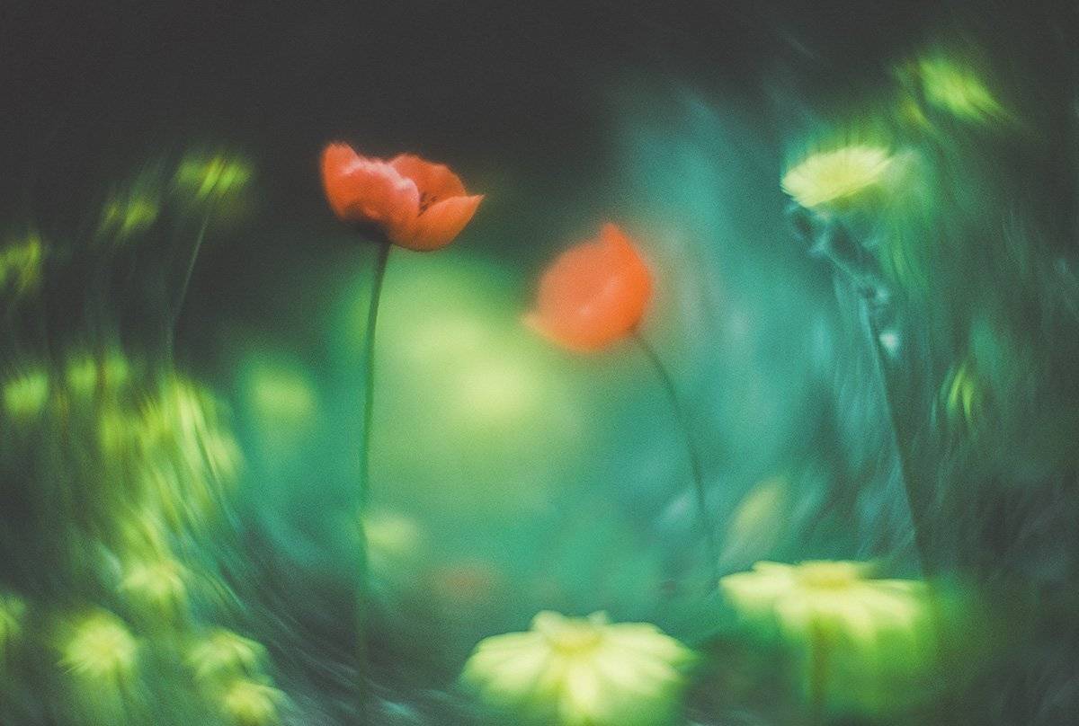 , Татьяна Аверина