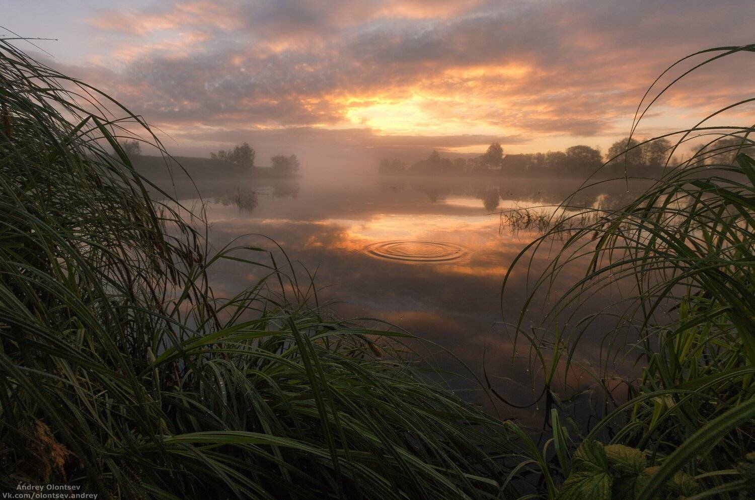 , Андрей Олонцев