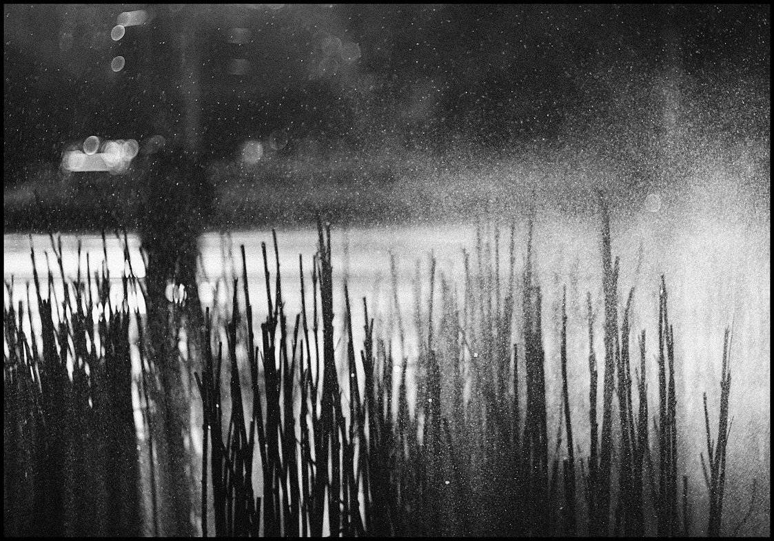 , Krzysztof Trojanowski