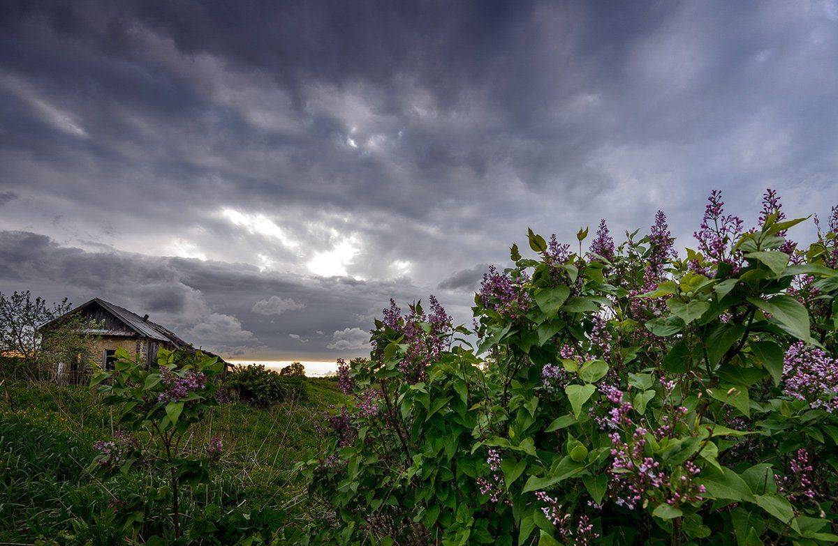 деревня, дом, Владислав Никишин