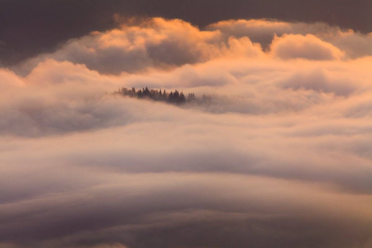 рассвет, туман, карпаты, горы, Антон Петрусь