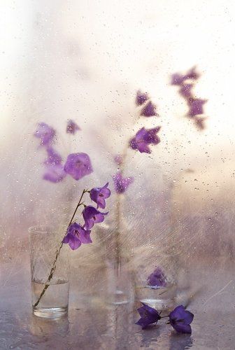 На закате ты меня позови