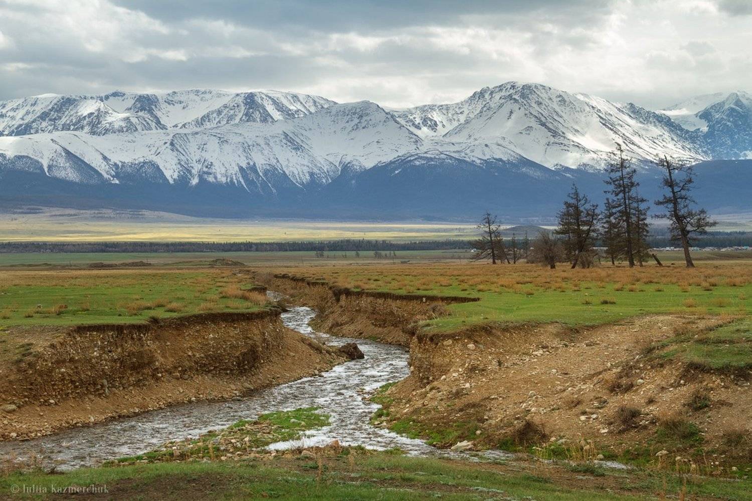 landscape, scenic, nature, travel, outdoor, view, tourism, steppe, larch, tree, spring, mountains, snow, sky, high, grass, ginger, green, north-chusky range, altai, kurai, Казмерчук Юлия