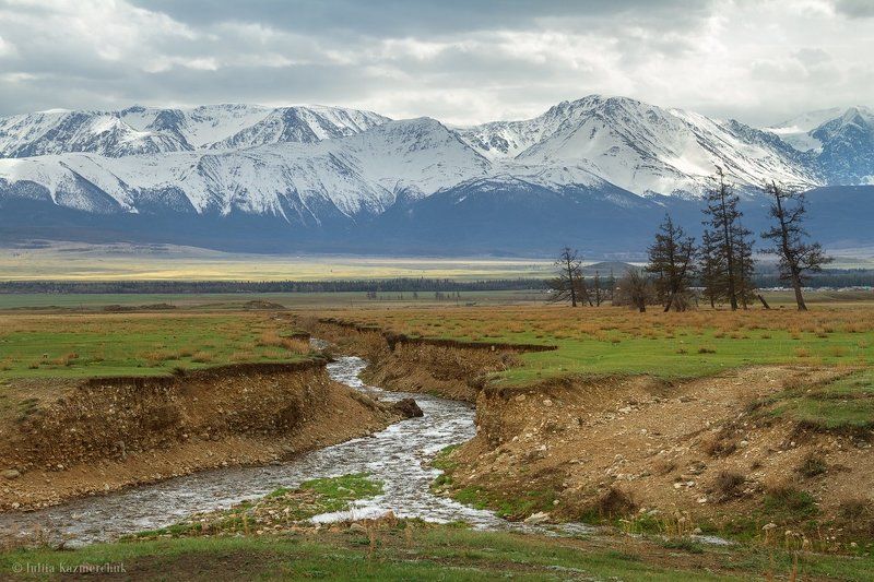 landscape, scenic, nature, travel, outdoor, view, tourism, steppe, larch, tree, spring, mountains, snow, sky, high, grass, ginger, green, north-chusky range, altai, kurai В майских красках Курая фото превью