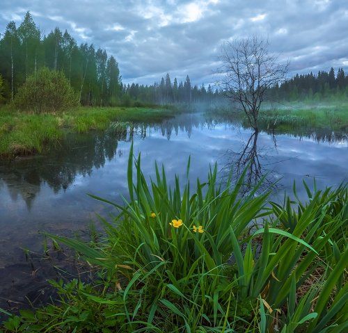 Магия весны.