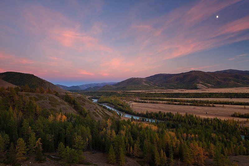 Аргут в районе степи Самаха. фото превью