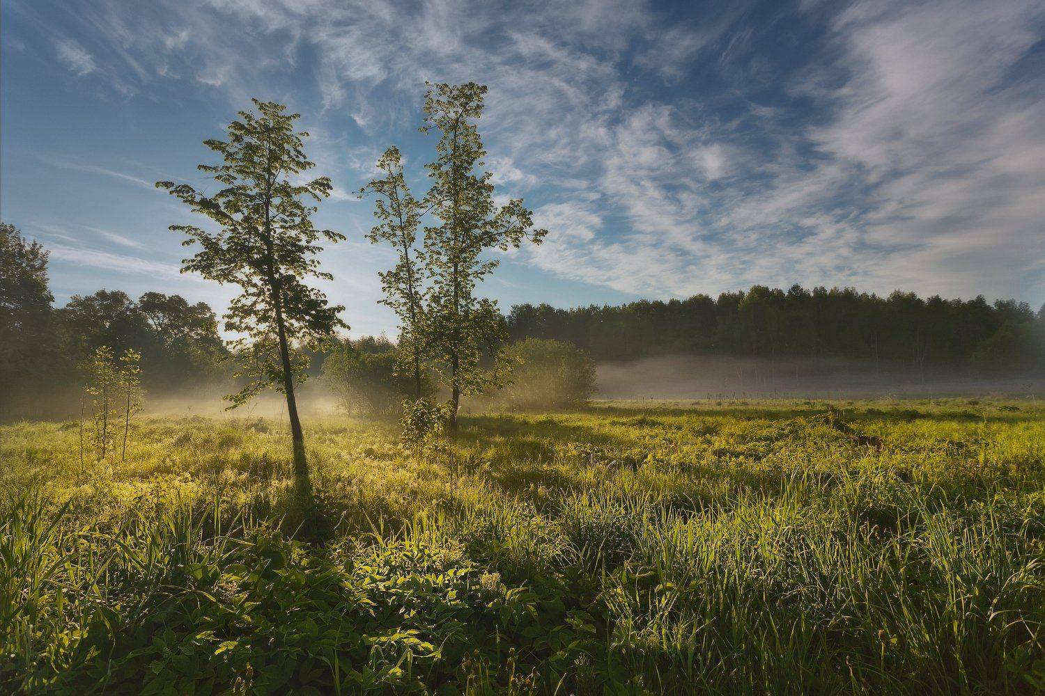 питер, лето, пушкин, царское, царское слело, Таня SHE (Aiya)