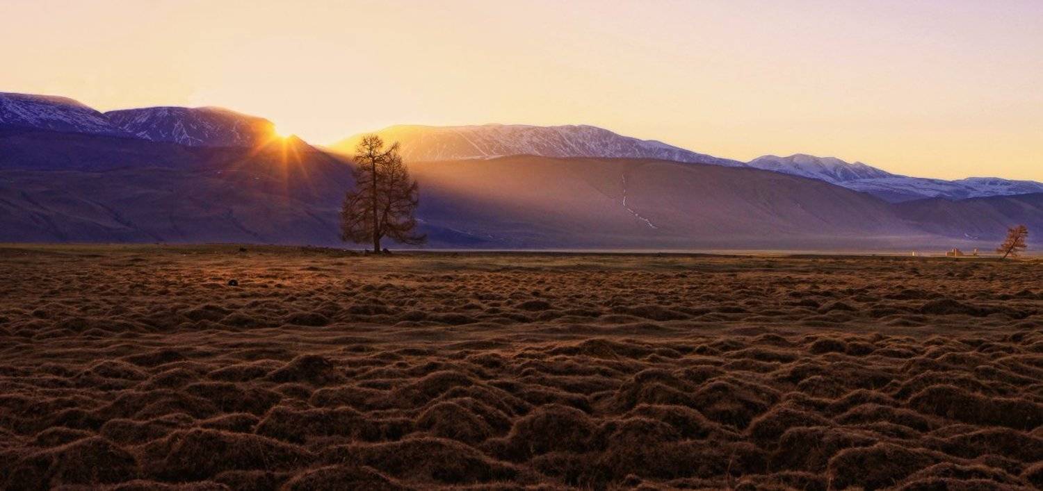 , Галина Хвостенко