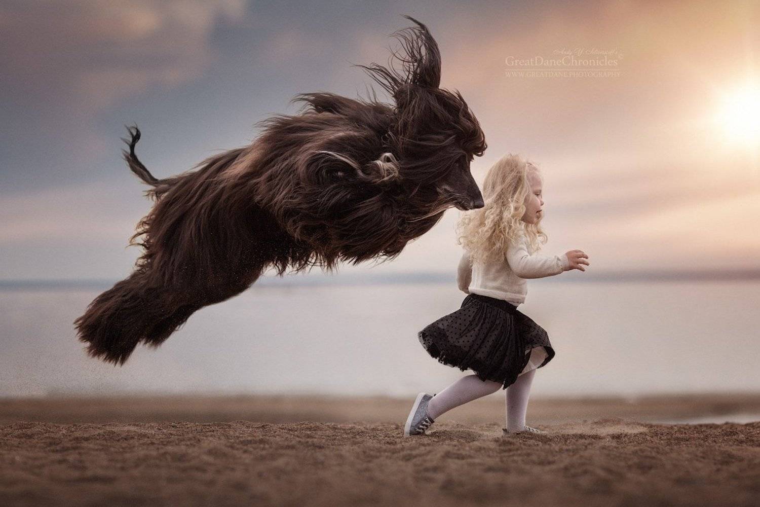 , Андрей Селиверстов