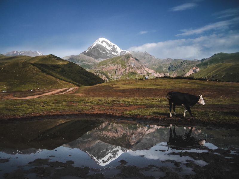 Mkinvartsveri фото превью