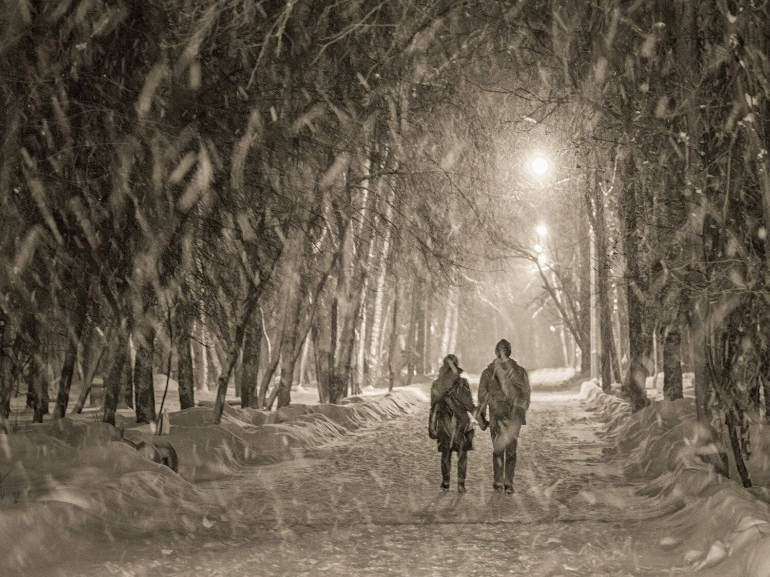 новосибирск, Андрей Поляков