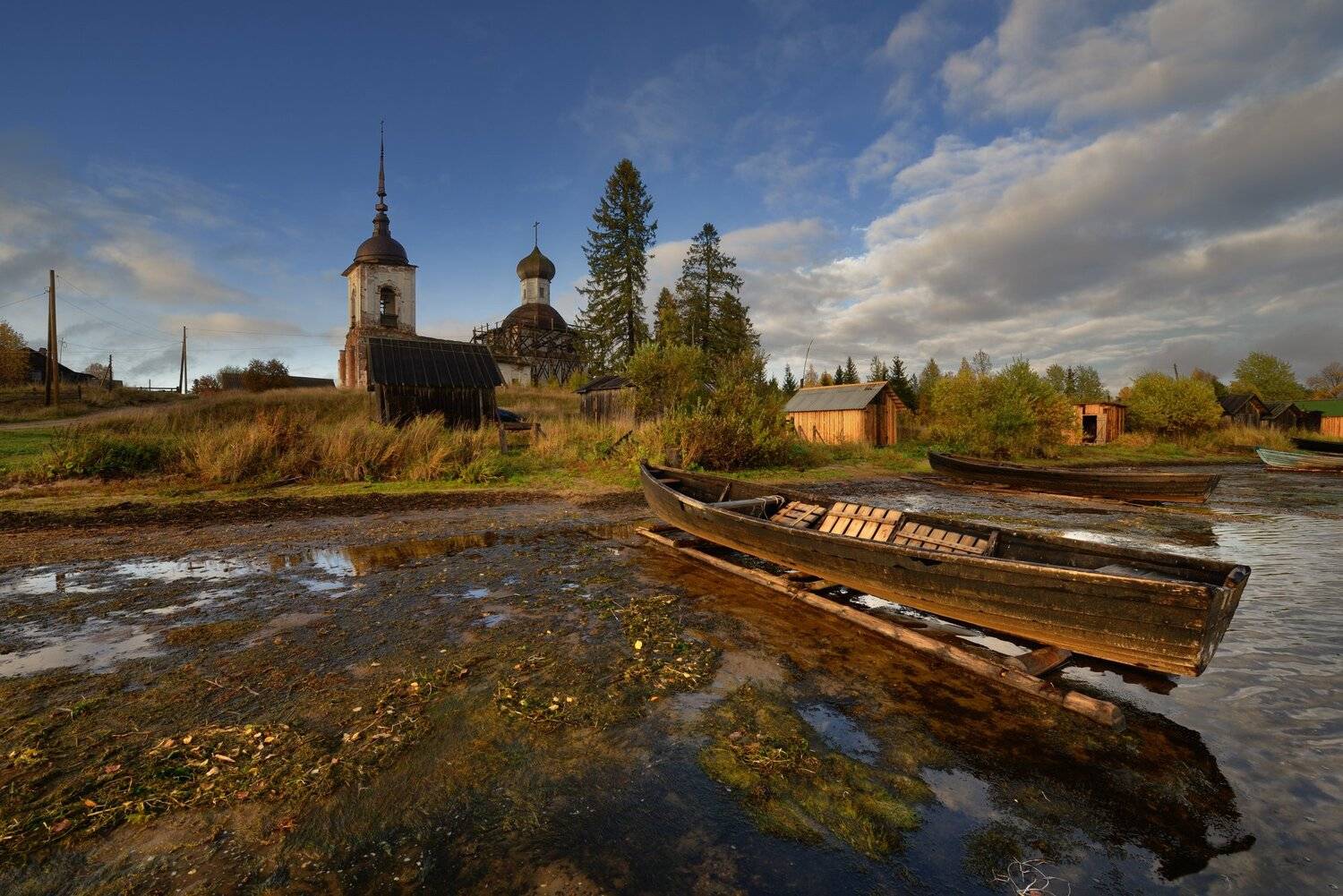, Максим Евдокимов (www.wildphotorus.ru)