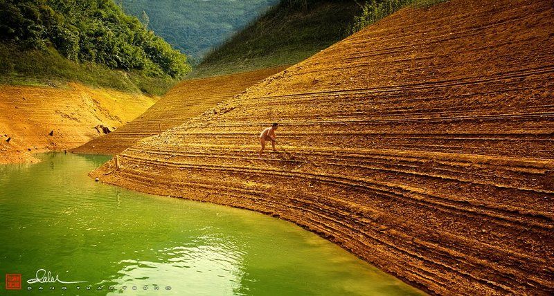 dang tuan trung, frank dang The Life фото превью